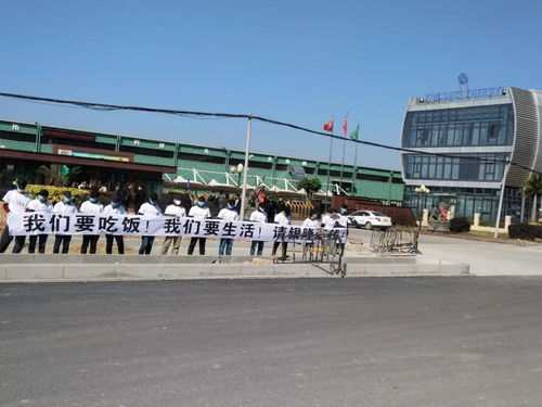 裸奔 造車 董小姐的珠海銀隆欠款12億