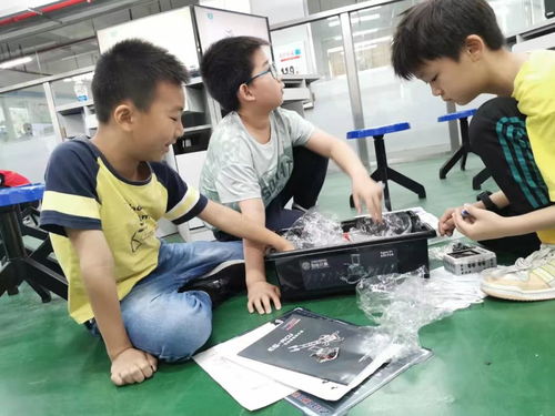 以勞育人,五育并舉 珠海理工開展第二屆 rolling the robot玩轉(zhuǎn)機器人公益培訓