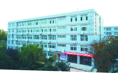 陜西職業技術學院2020年單獨考試招生簡章